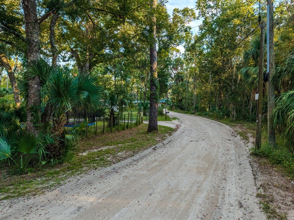 Picture 20