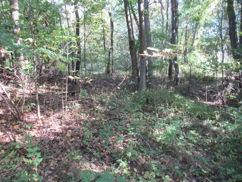 Vacant Land in Vandalia, MI
