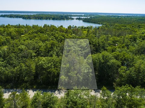 Wooded Lot in Presque Isle