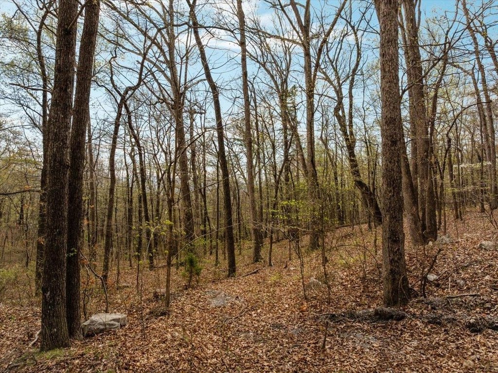 Picture 19