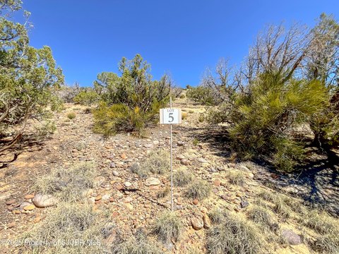 Farmington Land Subdivision Opportunity