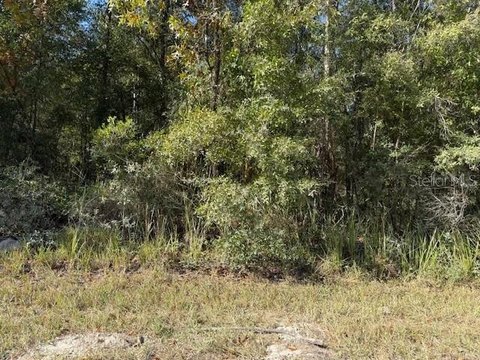 Vacant Home-Building Lot