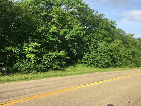 Land For Sale Alexandria, MN