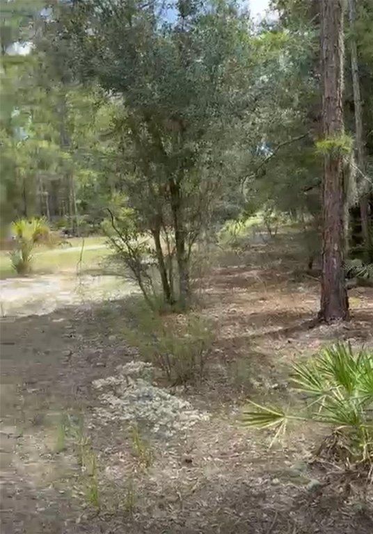 Picture 3