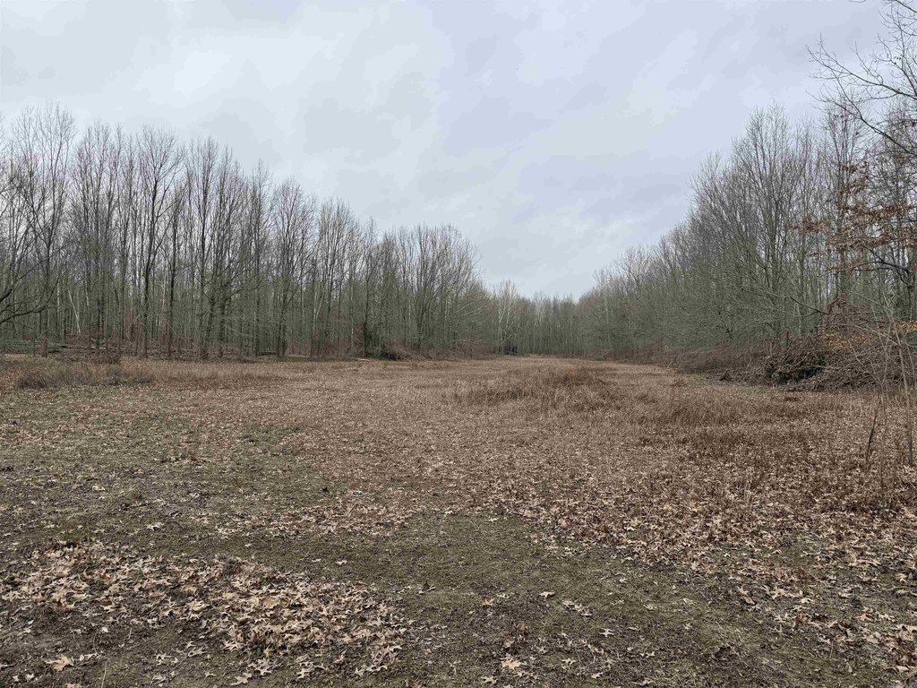 Picture 12