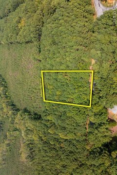 Wooded Lot Near Lake Gaston