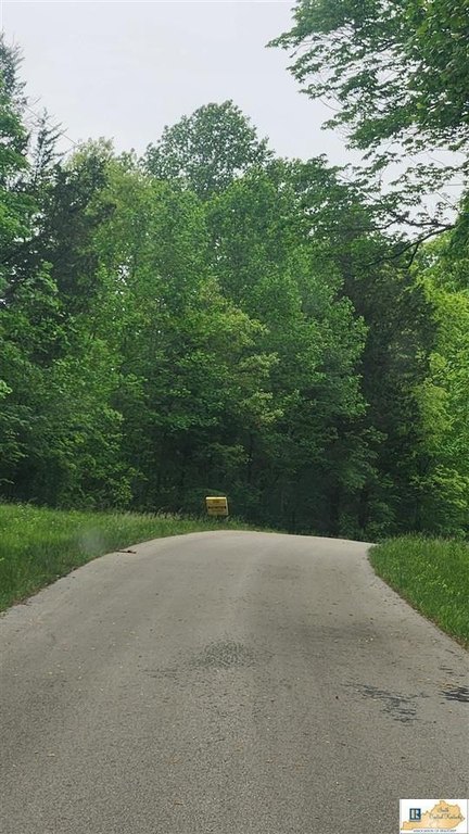 Picture 3