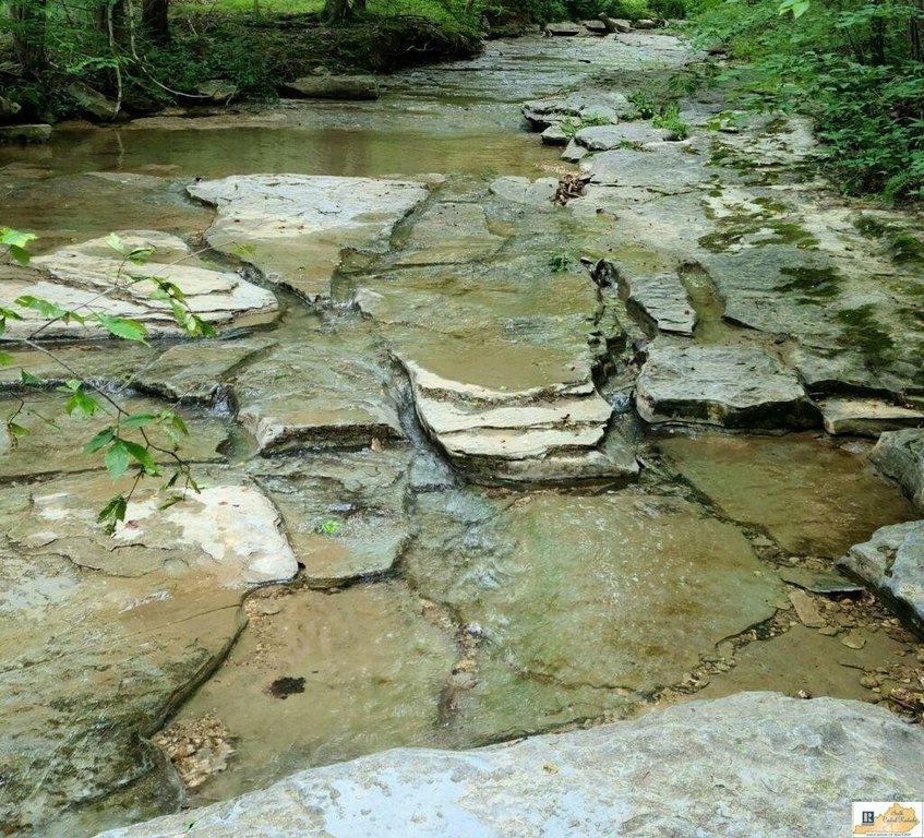 Picture 22