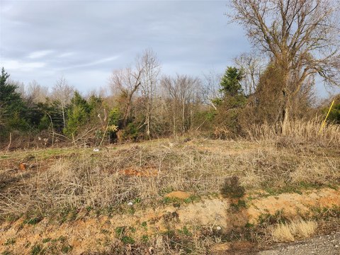 Land in Saltillo School District