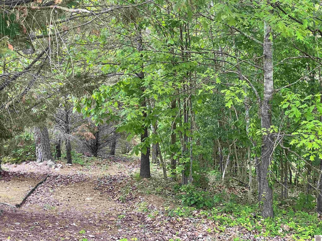 Picture 20