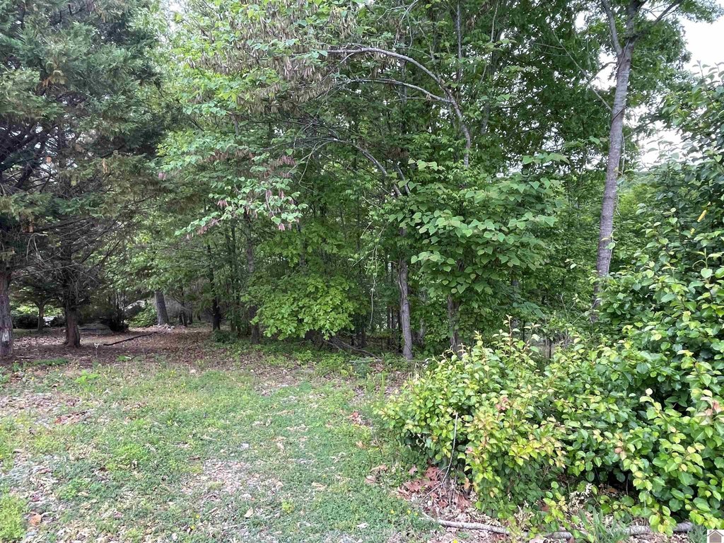 Picture 15