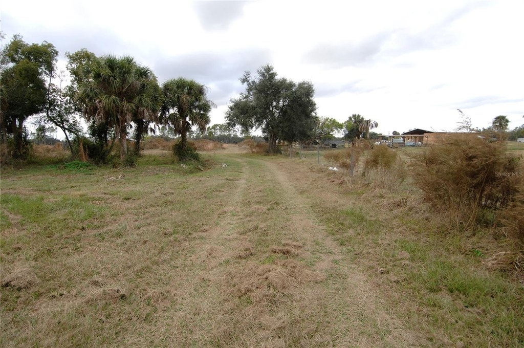 Picture 48