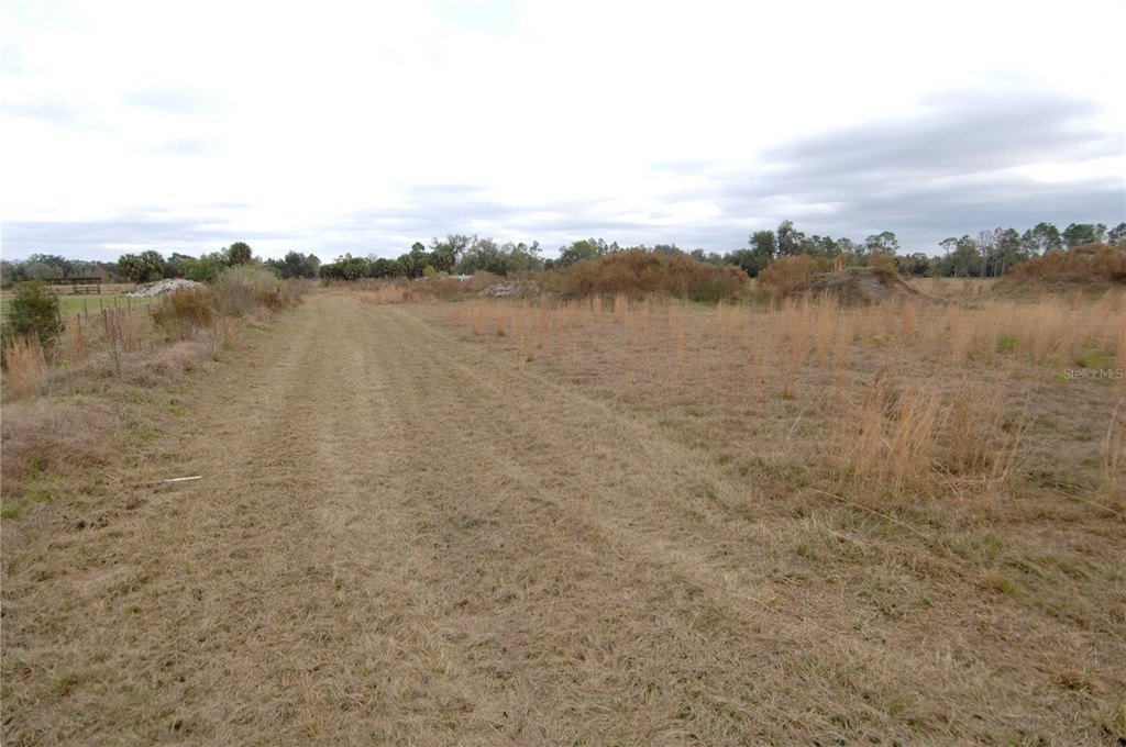 Picture 41