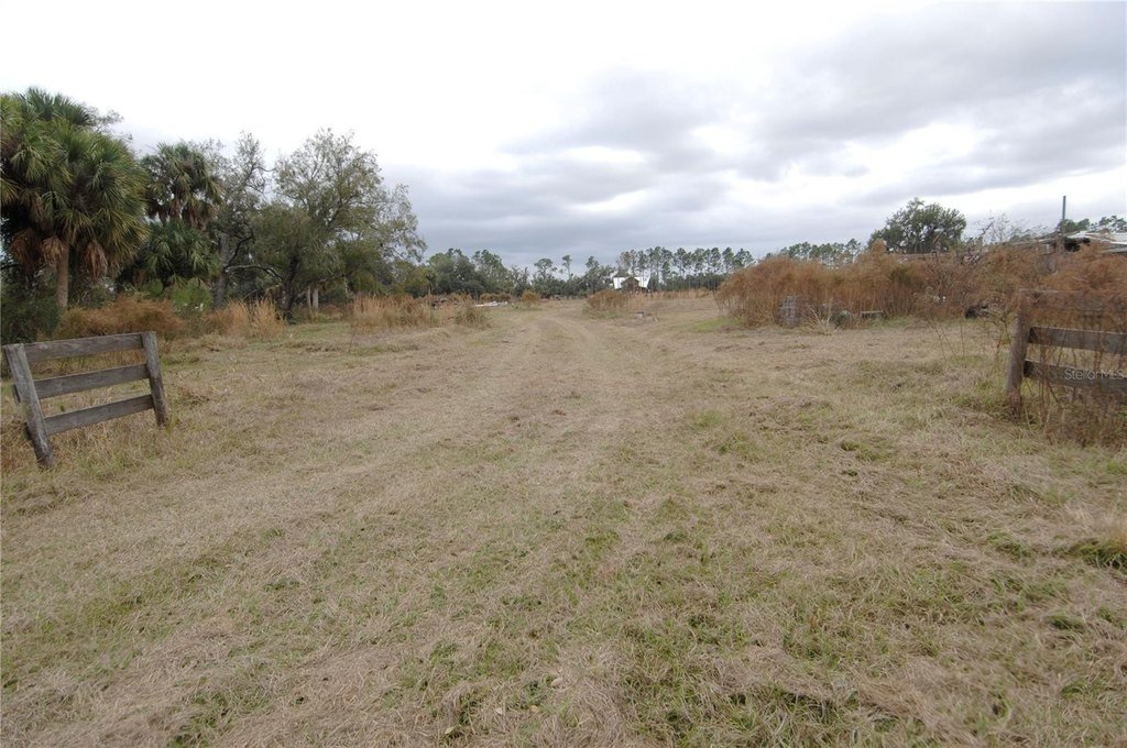 Picture 46