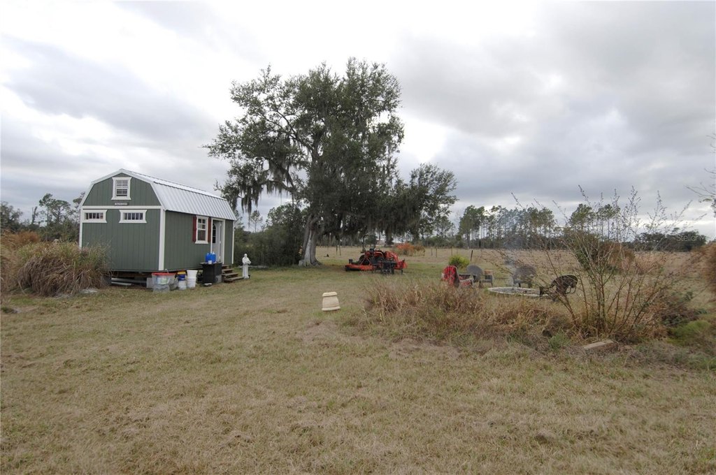 Picture 36