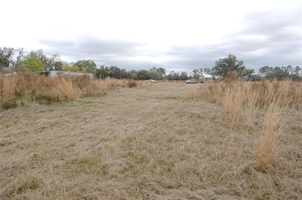 Picture 45