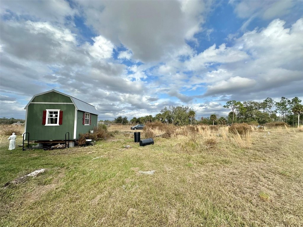 Picture 8