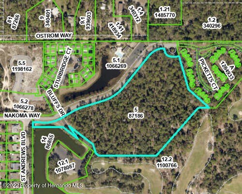 Weeki Wachee Land For Sale
