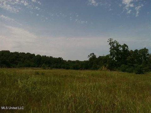 Natchez Land For Sale