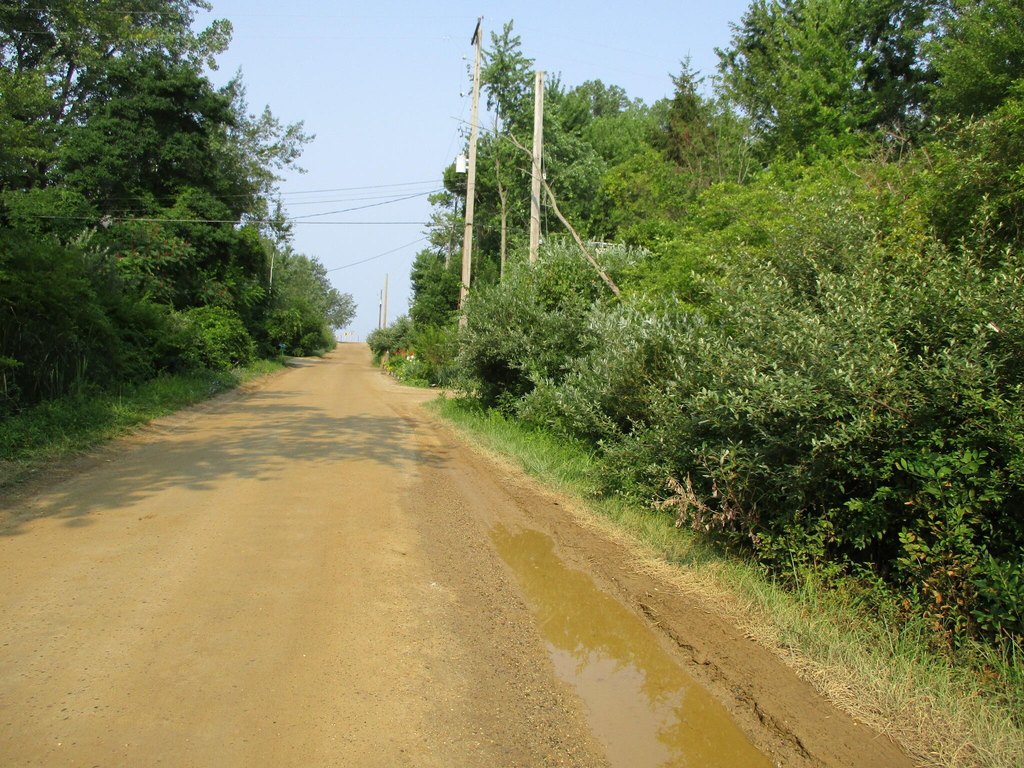 Picture 12