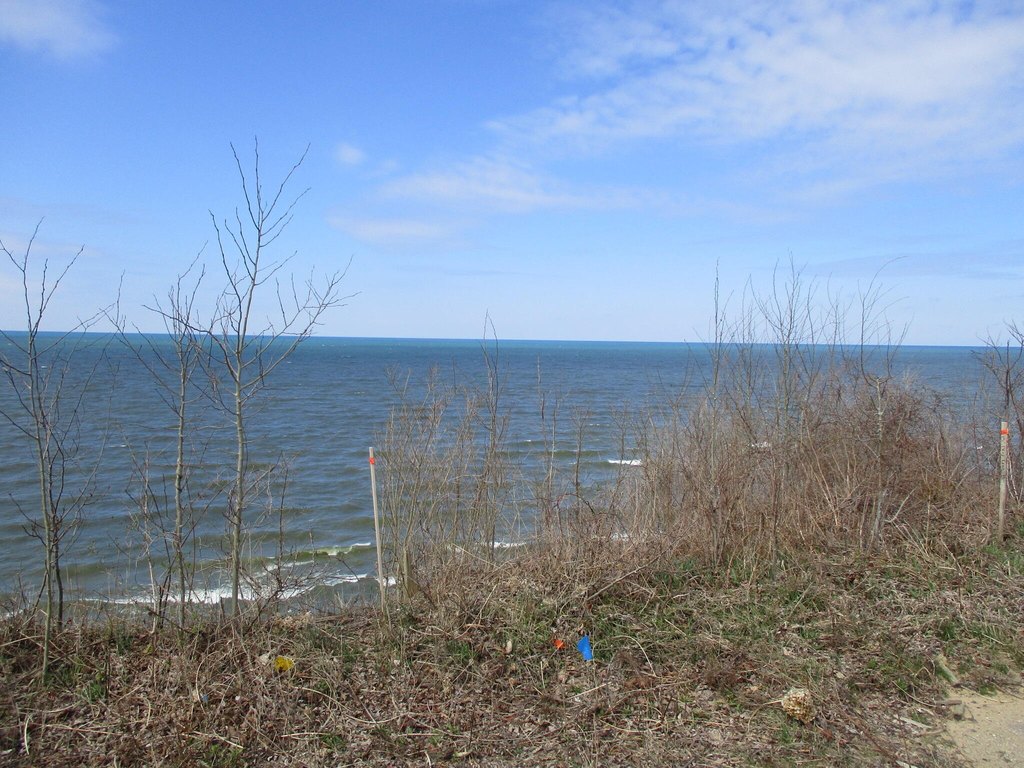 Picture 16