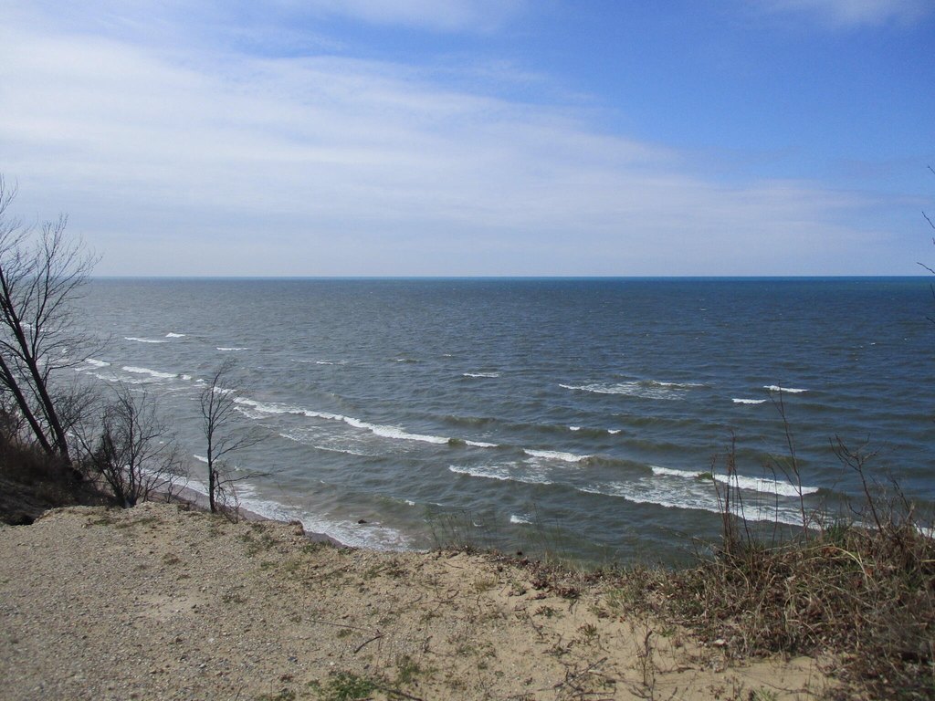 Picture 19