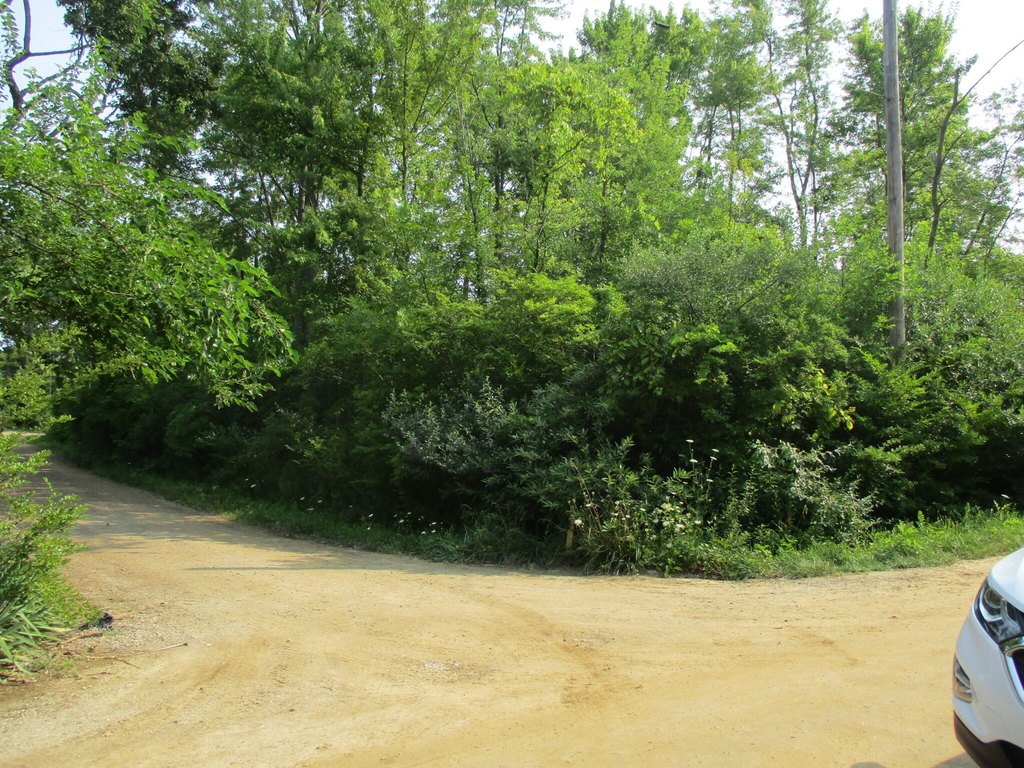 Picture 14