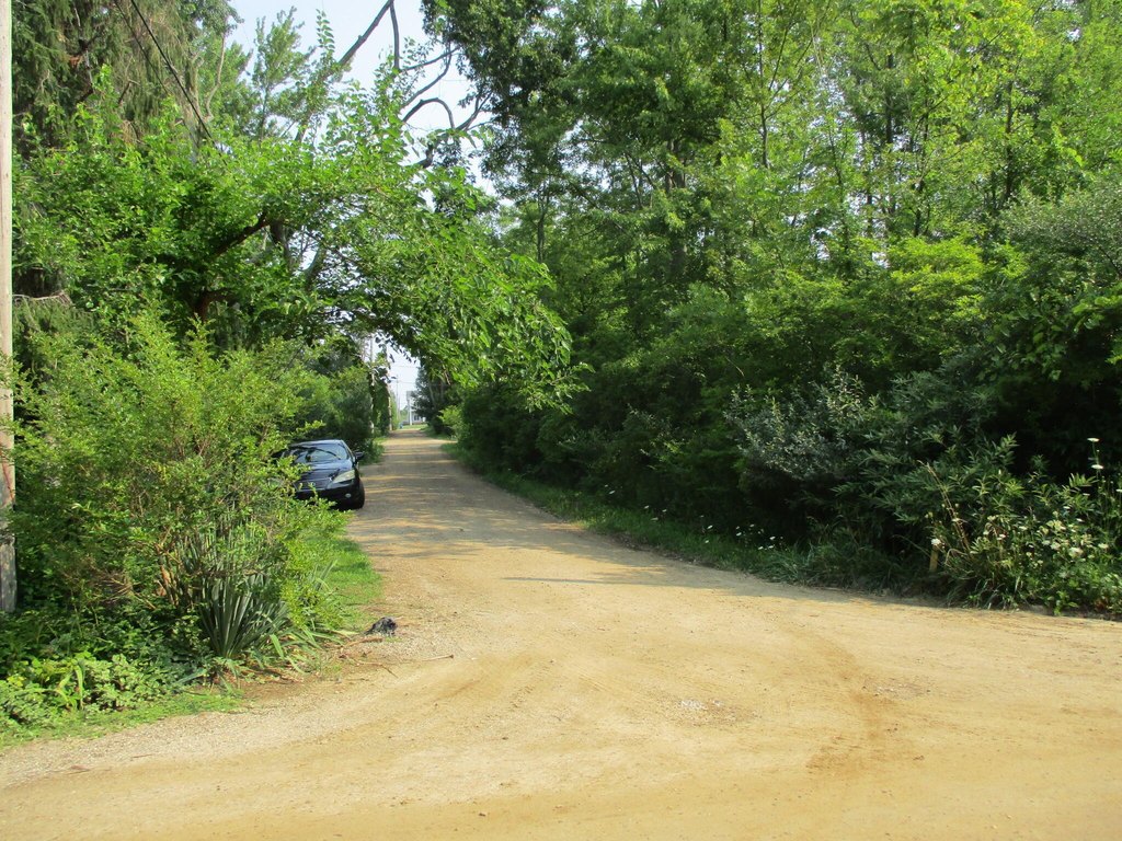 Picture 15