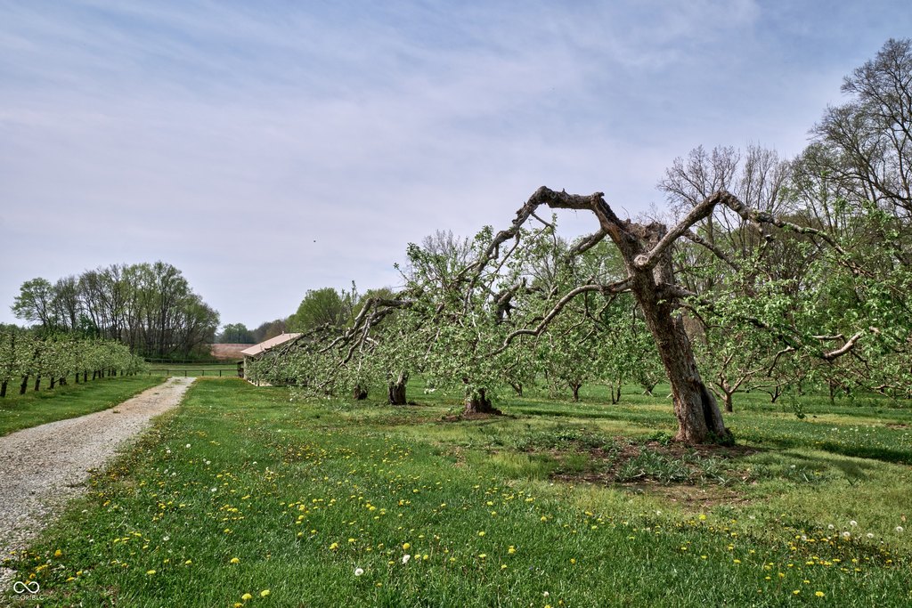 Picture 36