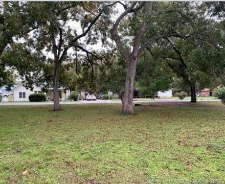 Residential Lot with Mature Trees