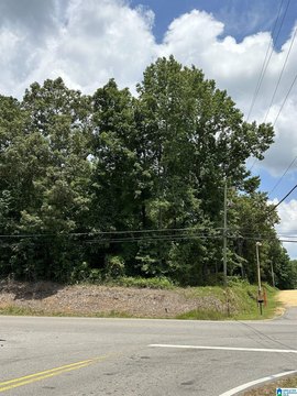 LAND - JASPER, AL