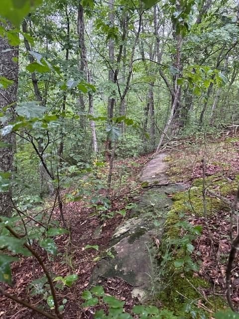 Wilder, TN Hunting/Recreational Land