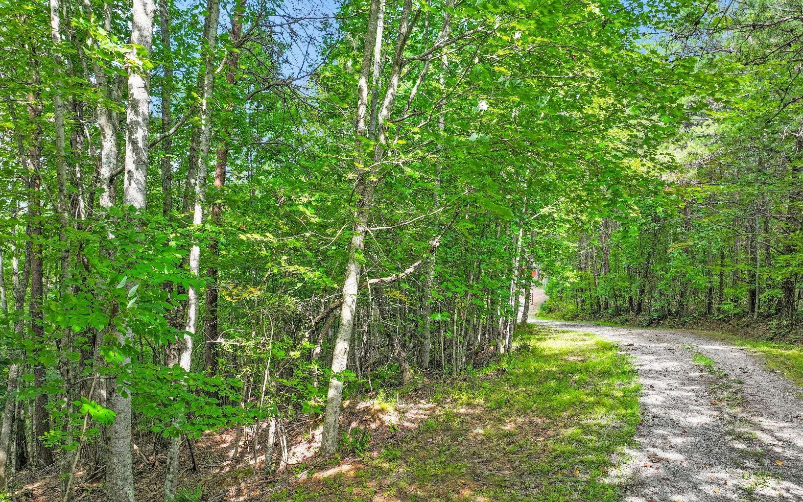 2.67 Acre Vacant Lot
