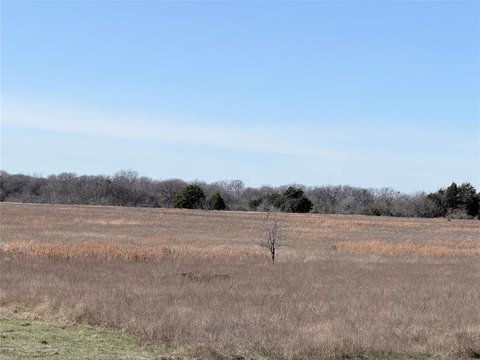 40 Acres of Land in Kerens