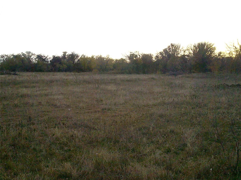 Picture 7