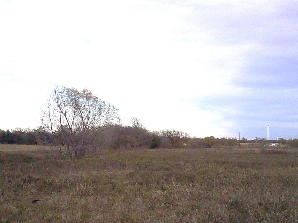Picture 9