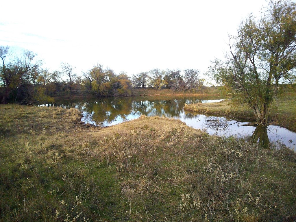 Picture 2