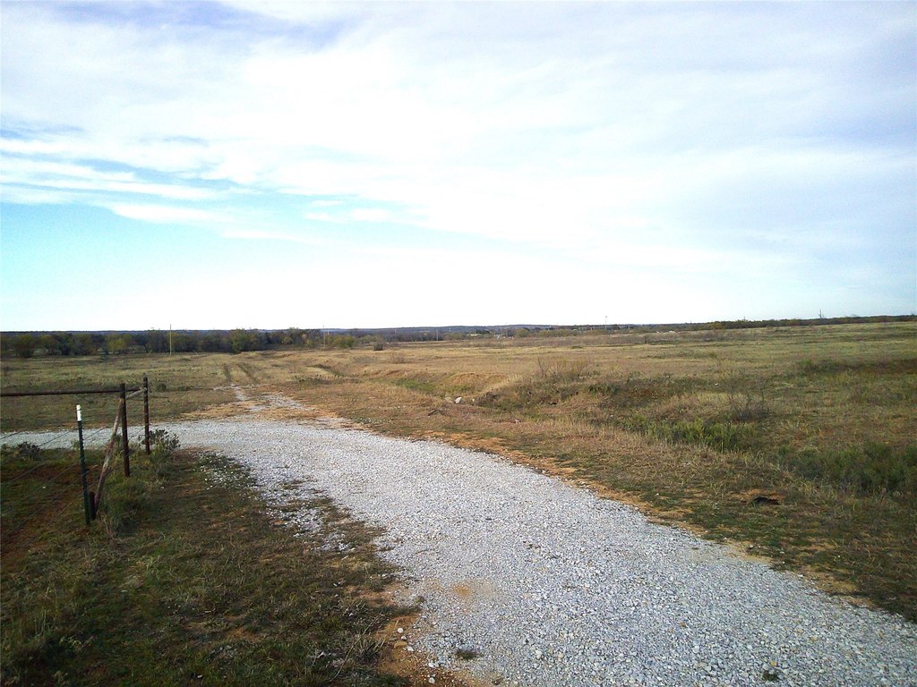 Picture 6