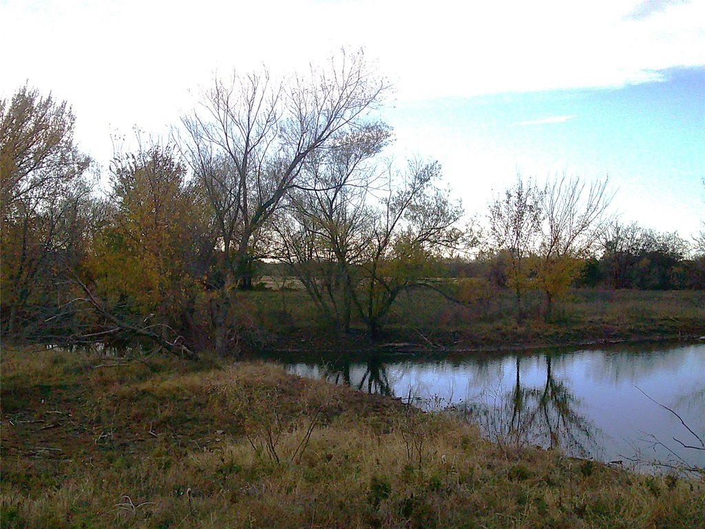 Picture 3