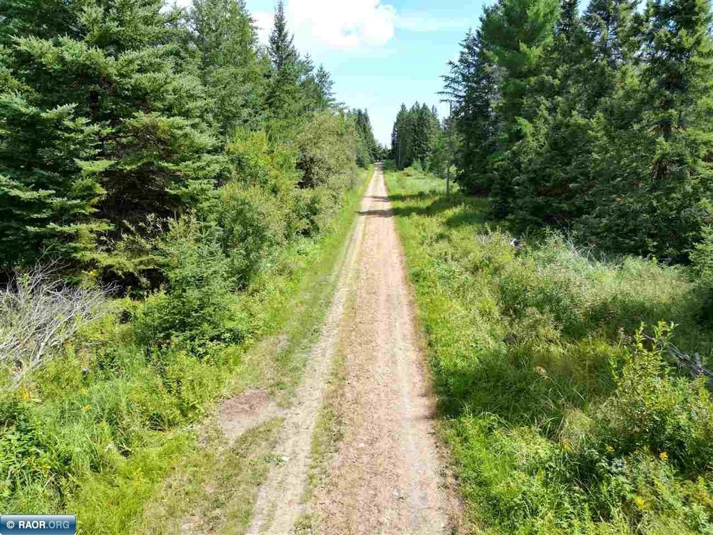 Picture 20