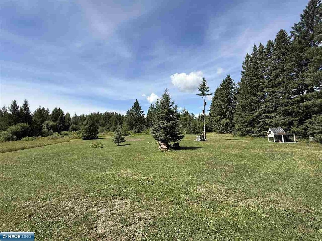 Picture 8
