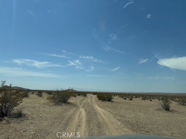 Picture 5