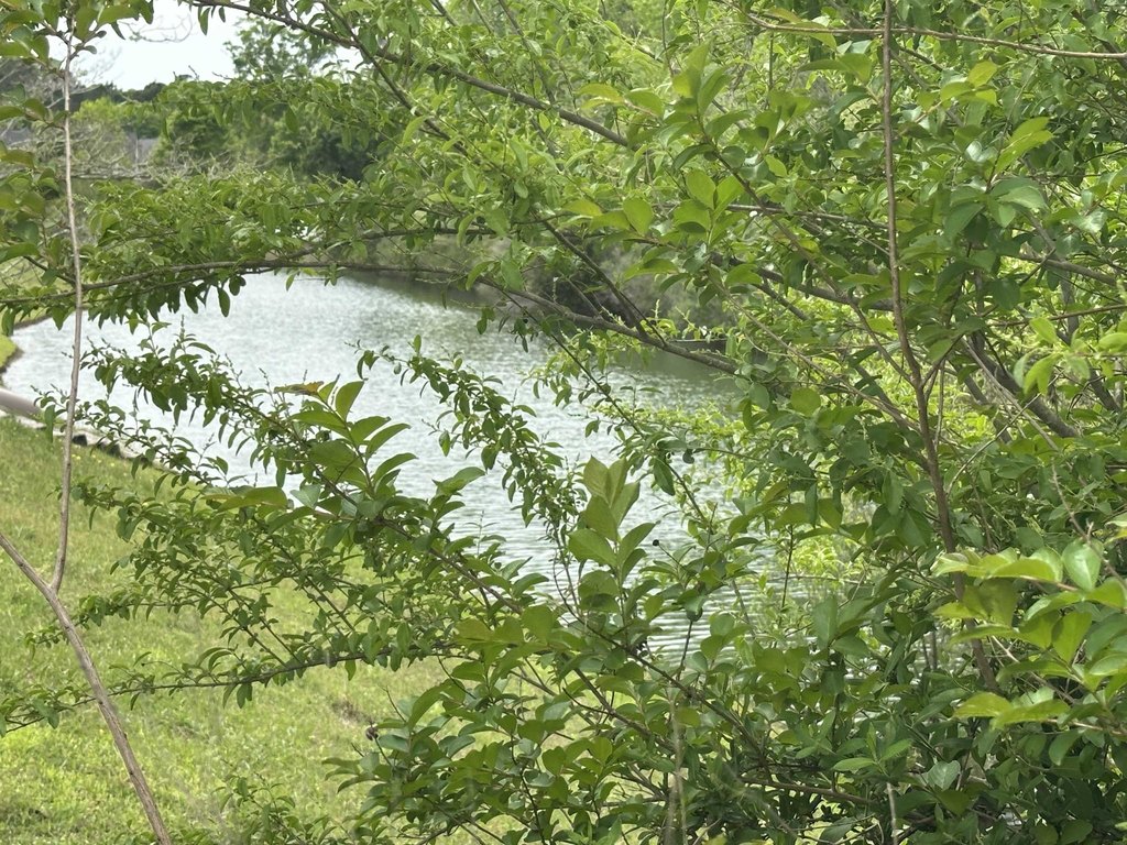 Picture 3