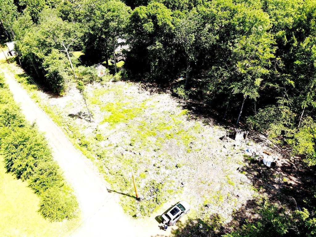 Picture 8