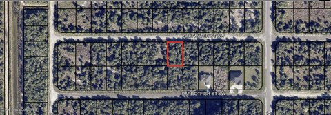 LAND - Palm Bay, FL