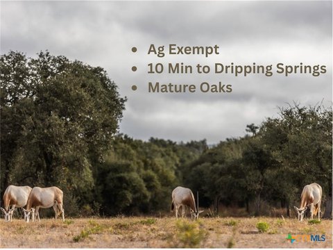 Legacy Hills 5-Acre Lot