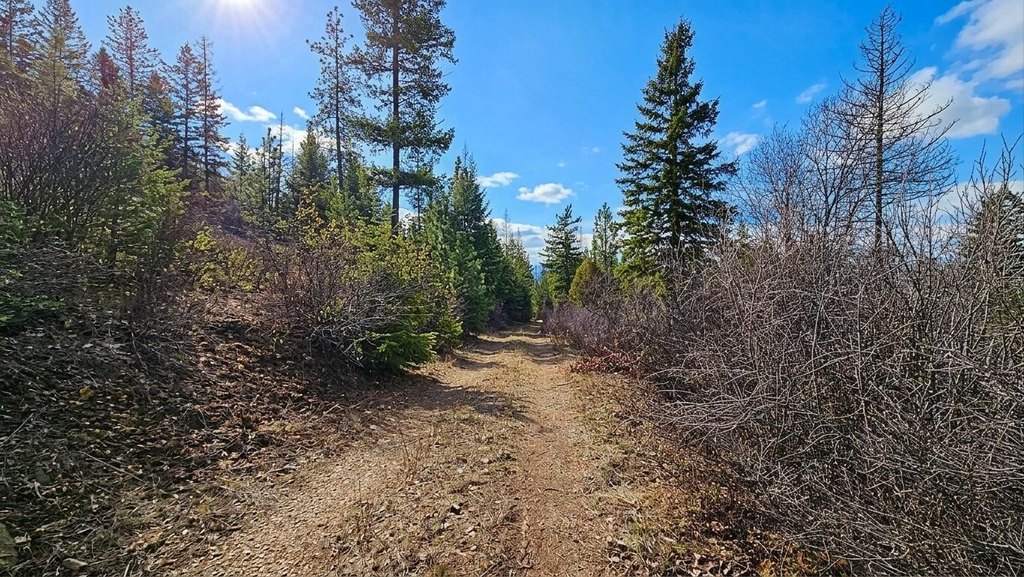 Picture 7
