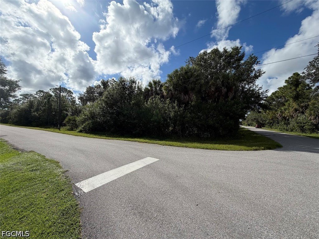 Picture 6
