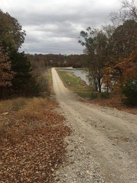 Treed Lot Near Lake Chaparral