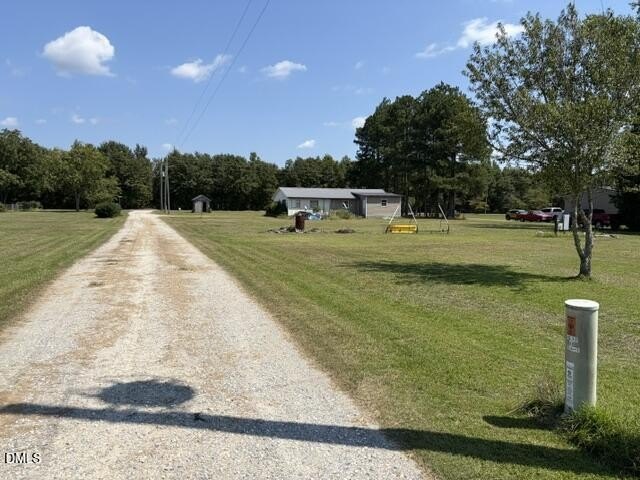 Picture 5